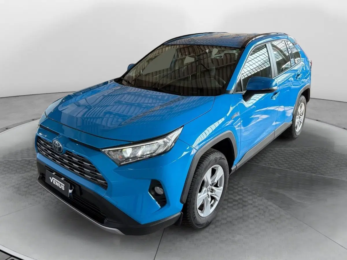 Toyota Rav4 usata a Monza e Brianza (2)