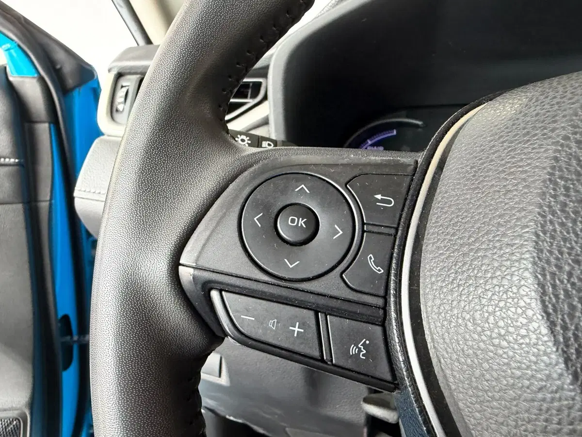 Toyota Rav4 usata a Monza e Brianza (20)