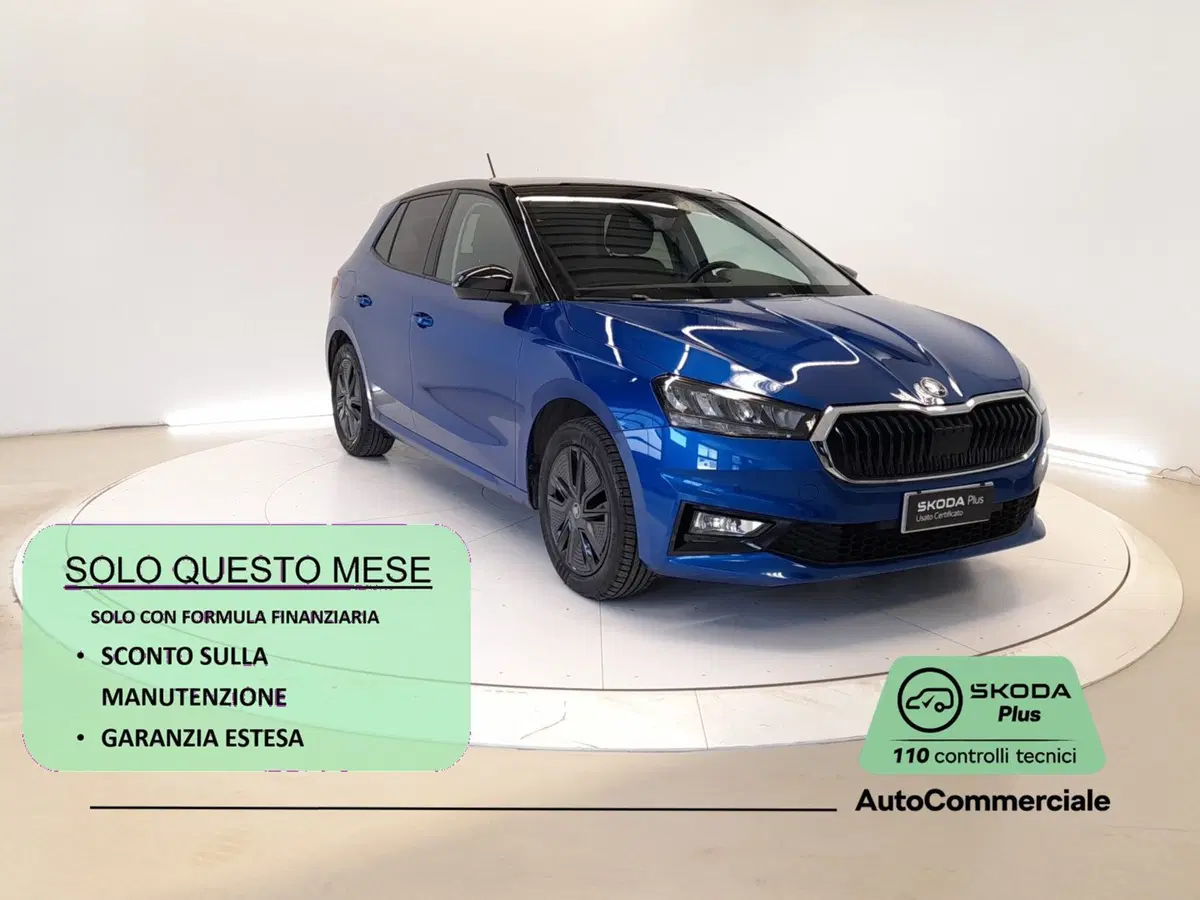 Skoda Fabia usata a Bologna