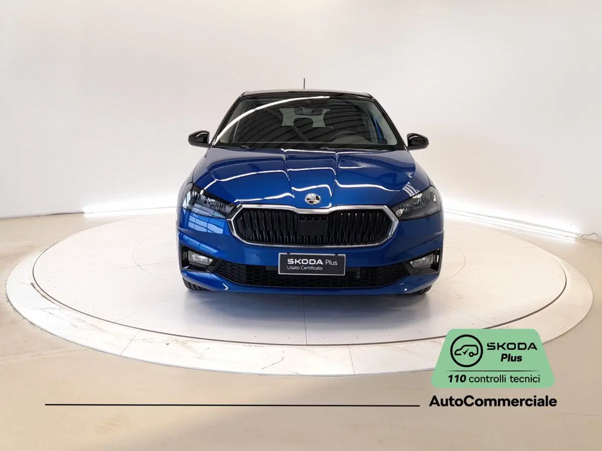 Skoda Fabia usata a Bologna (2)