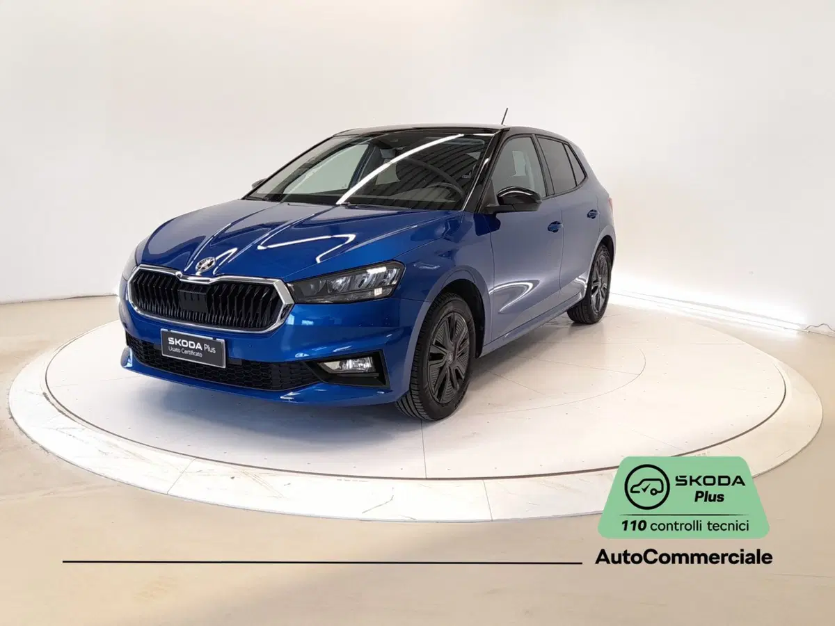 Skoda Fabia usata a Bologna (3)