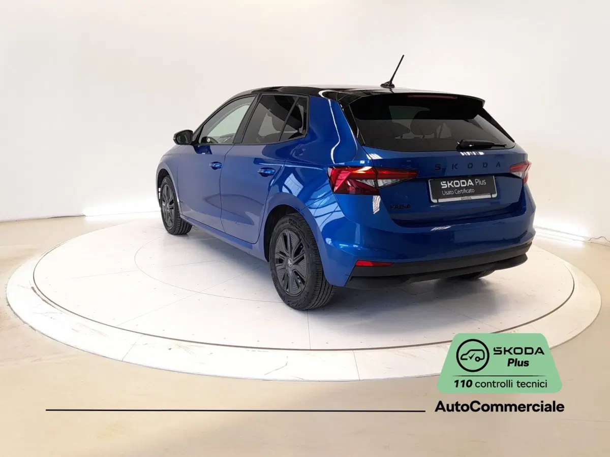 Skoda Fabia usata a Bologna (4)