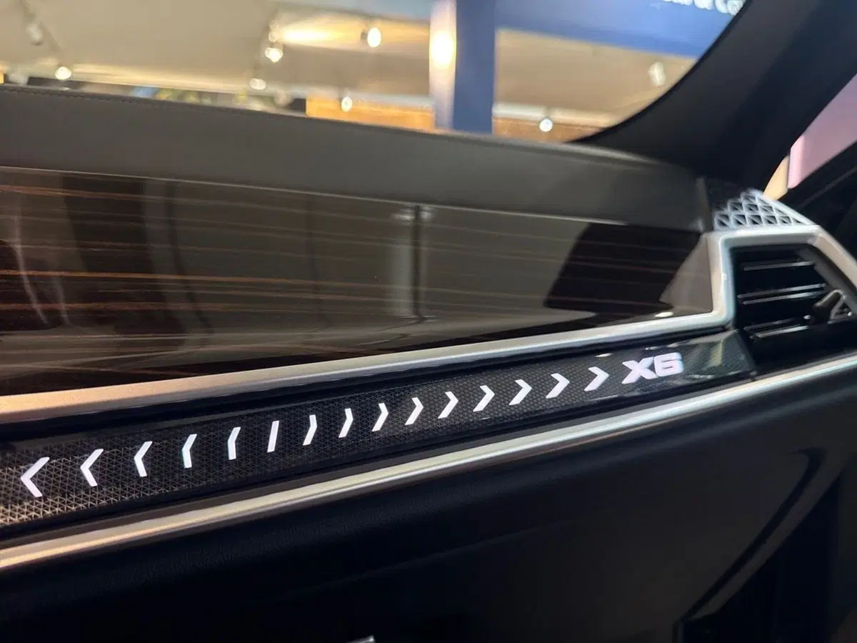 BMW X6 usata a Prato (18)