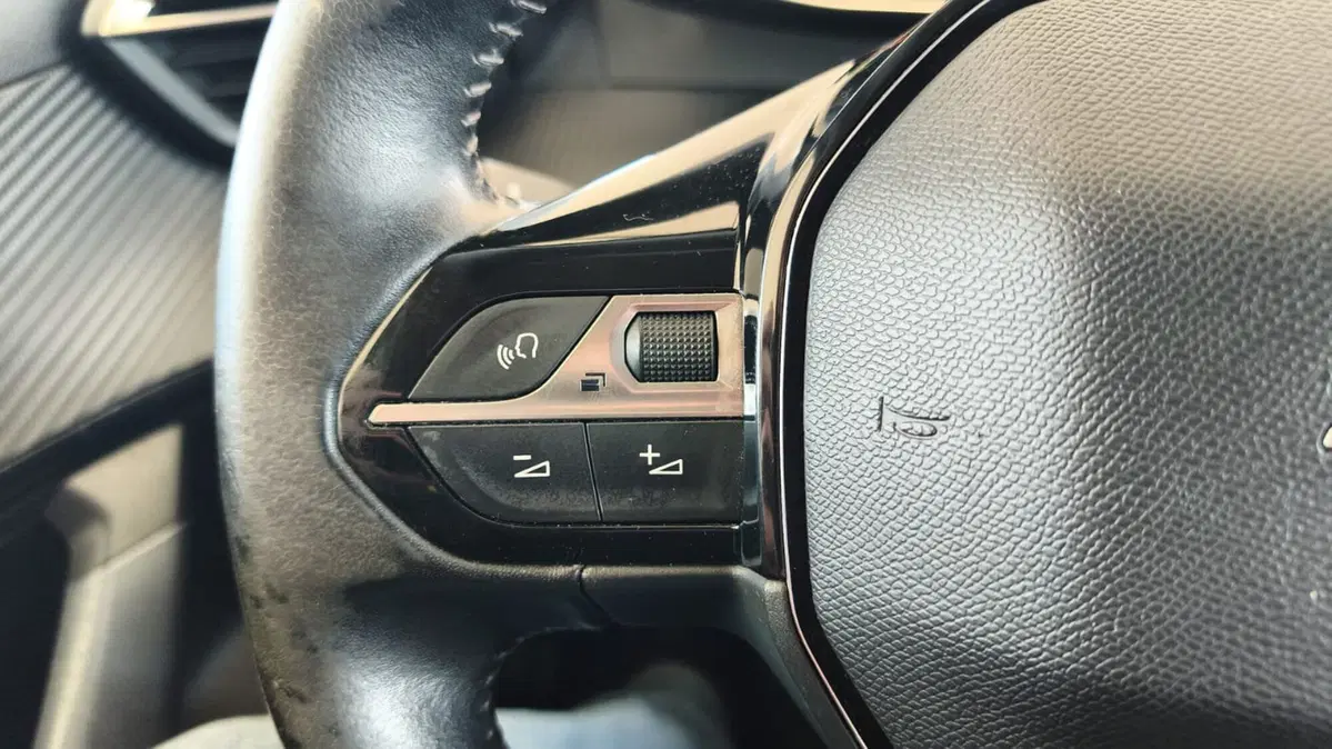 Peugeot 2008 usata a Firenze (19)