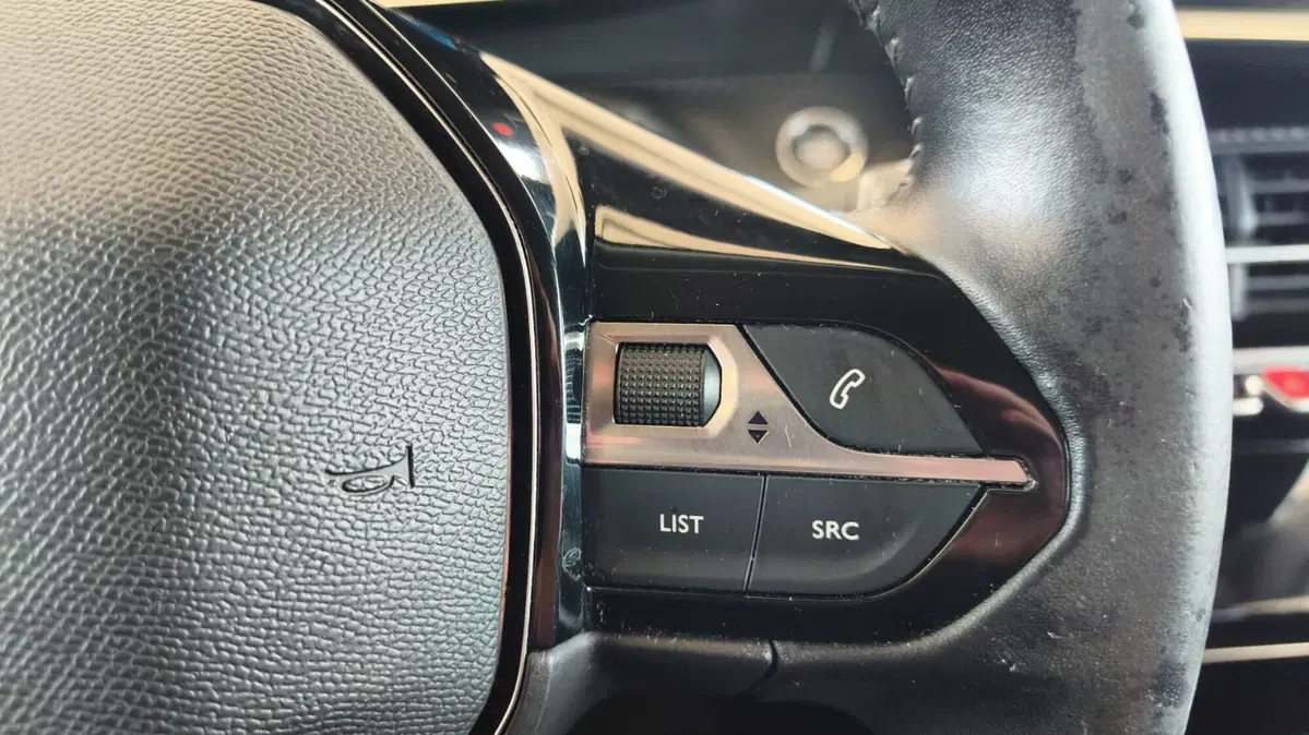 Peugeot 2008 usata a Firenze (20)