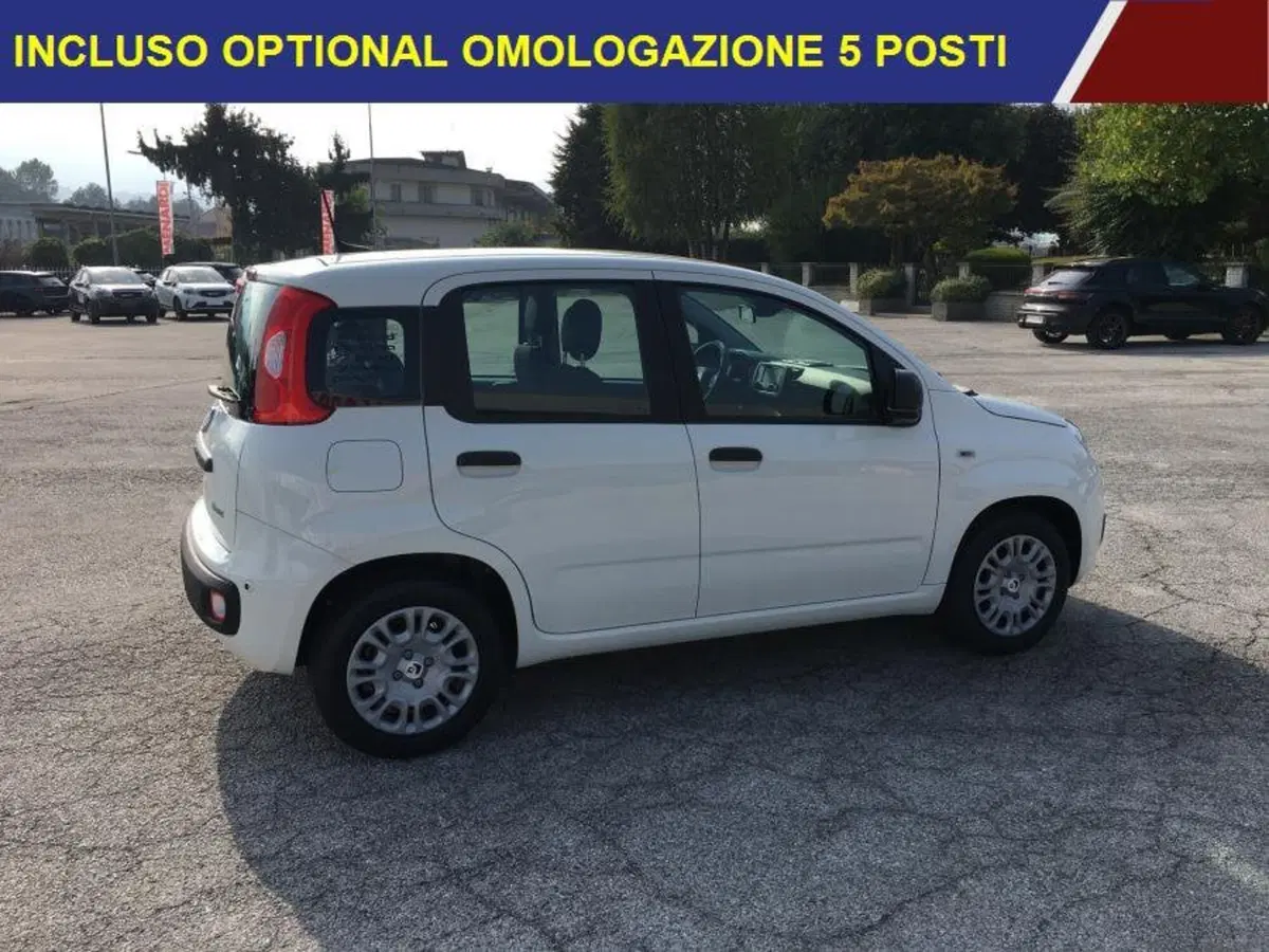 Fiat Panda nuova a Cuneo (2)