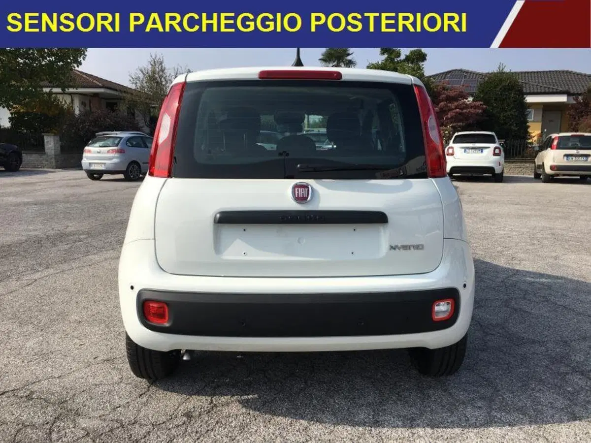 Fiat Panda nuova a Cuneo (5)