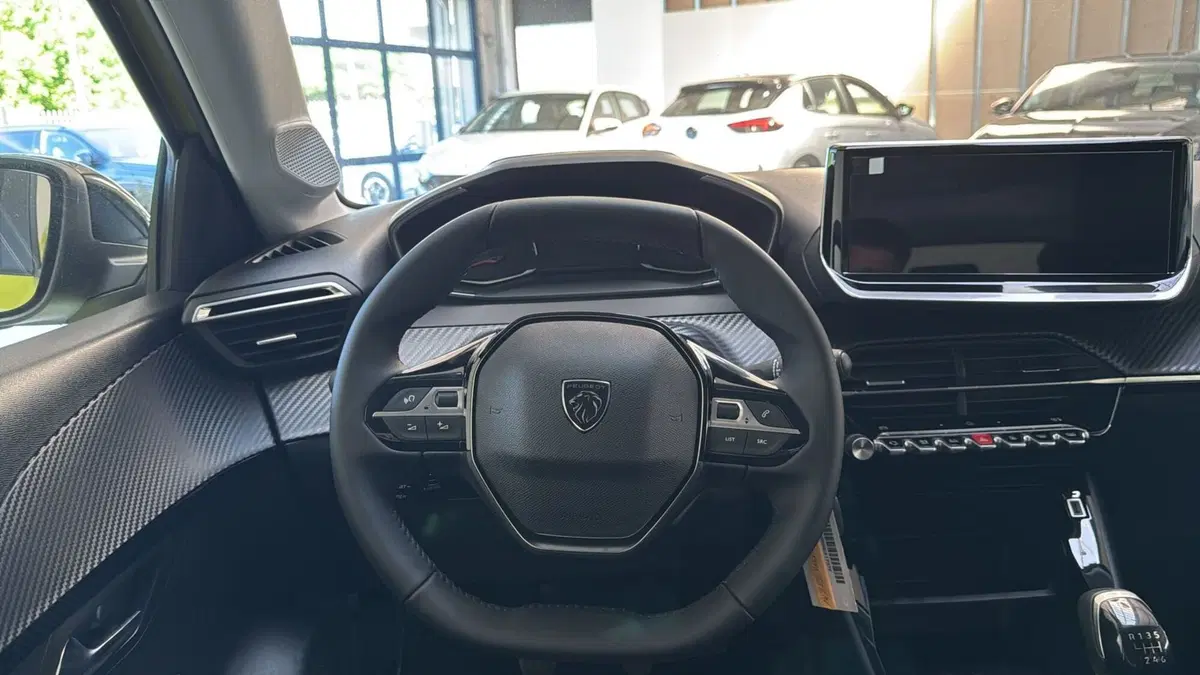 Peugeot 208 nuova a Frosinone (12)