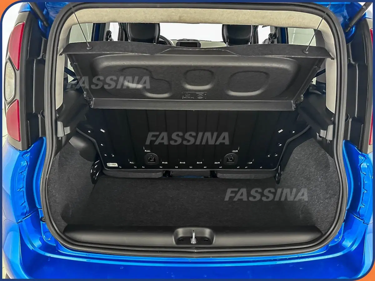 Fiat Panda Cross usata a Milano (11)