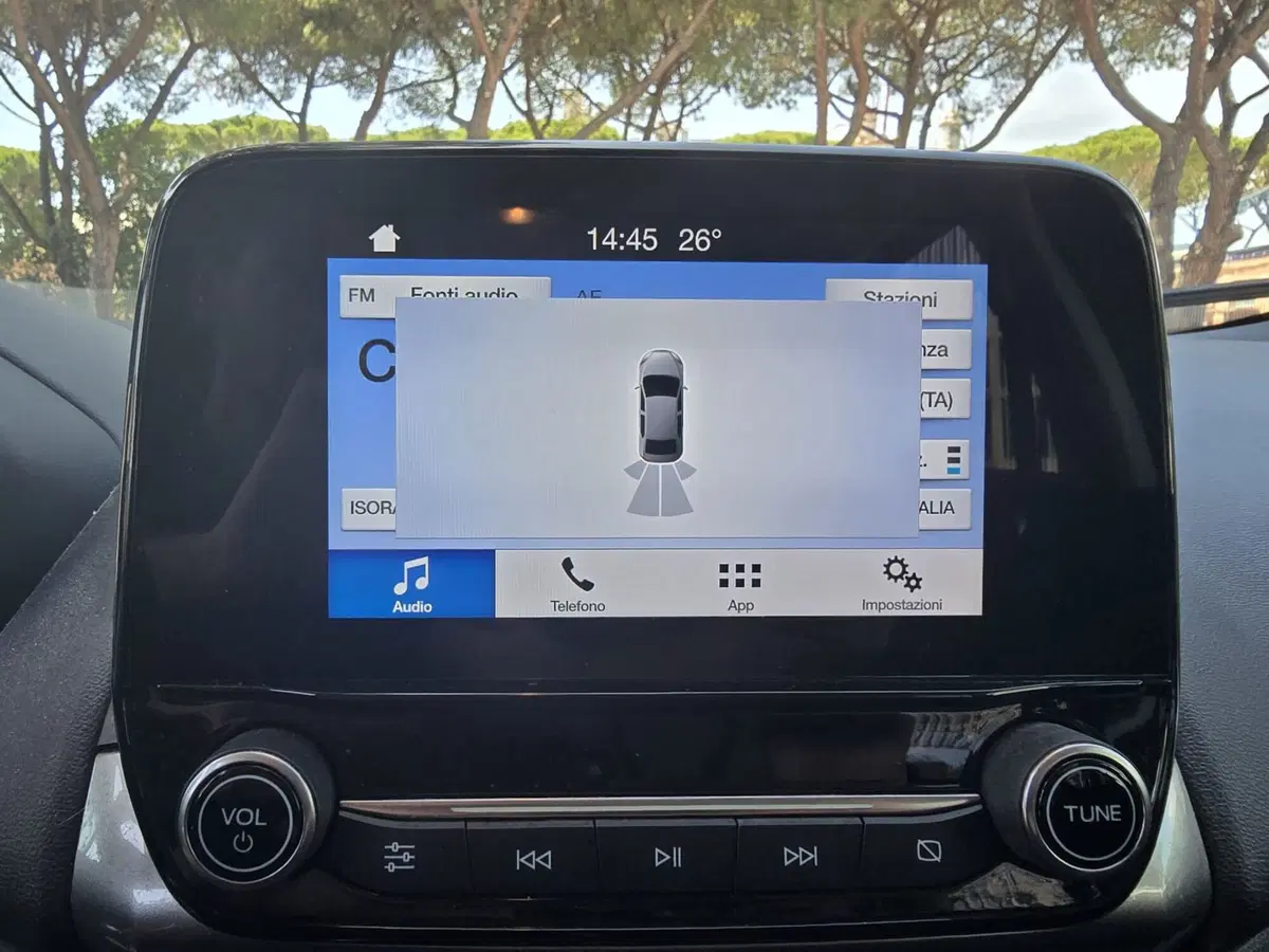 Ford EcoSport usata a Massa-Carrara (11)