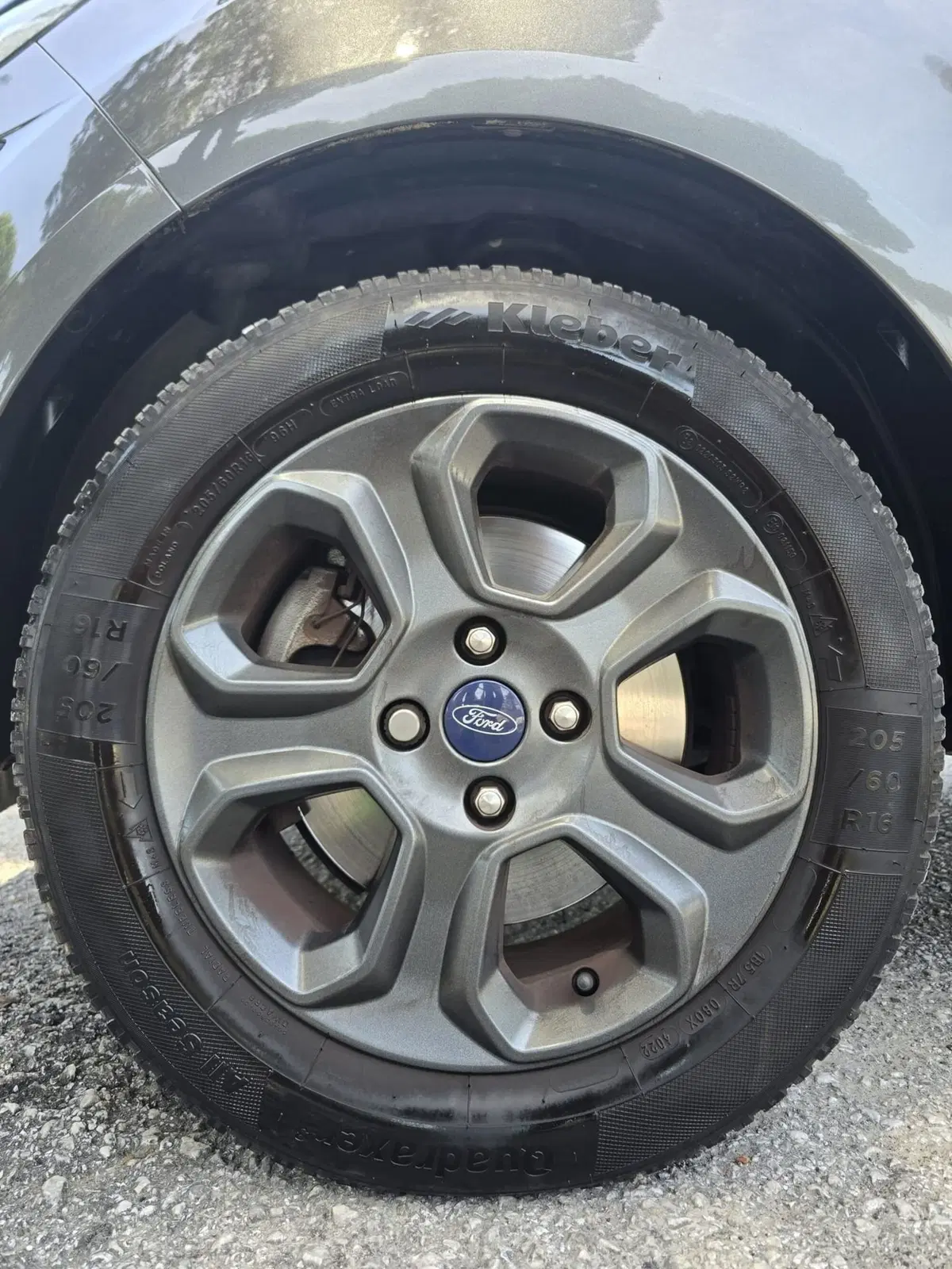 Ford EcoSport usata a Massa-Carrara (15)