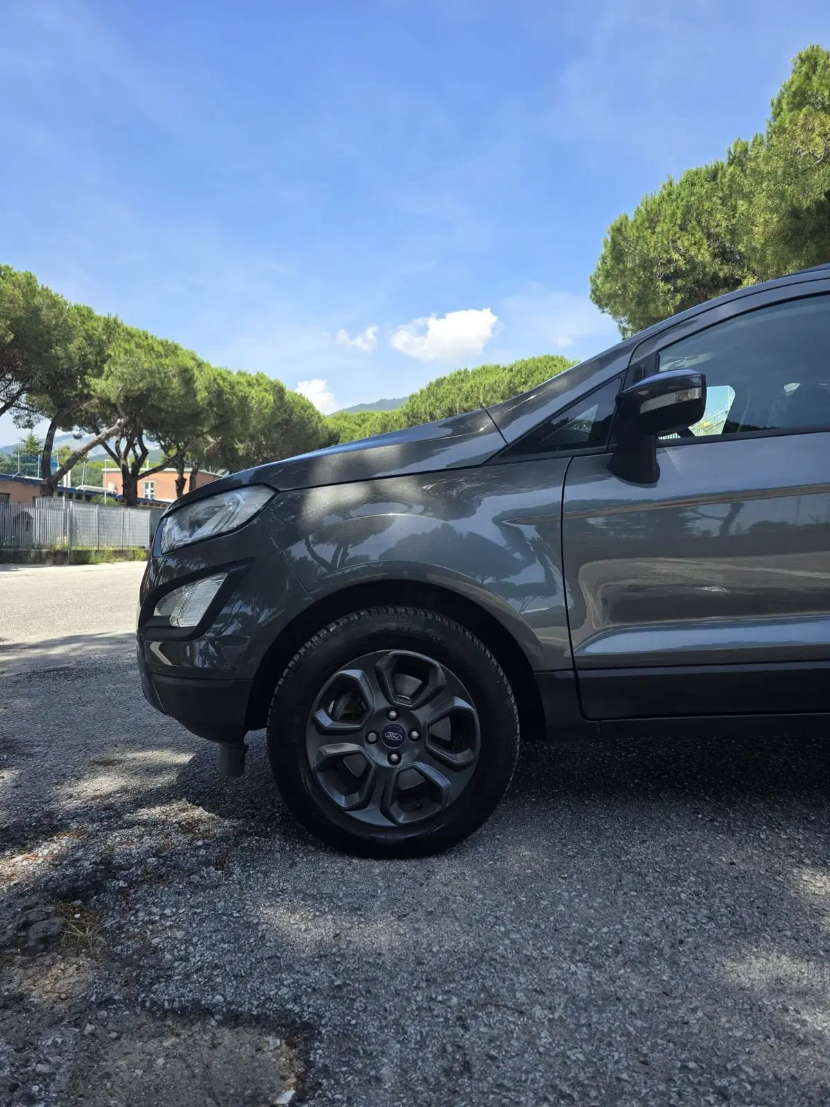 Ford EcoSport usata a Massa-Carrara (18)