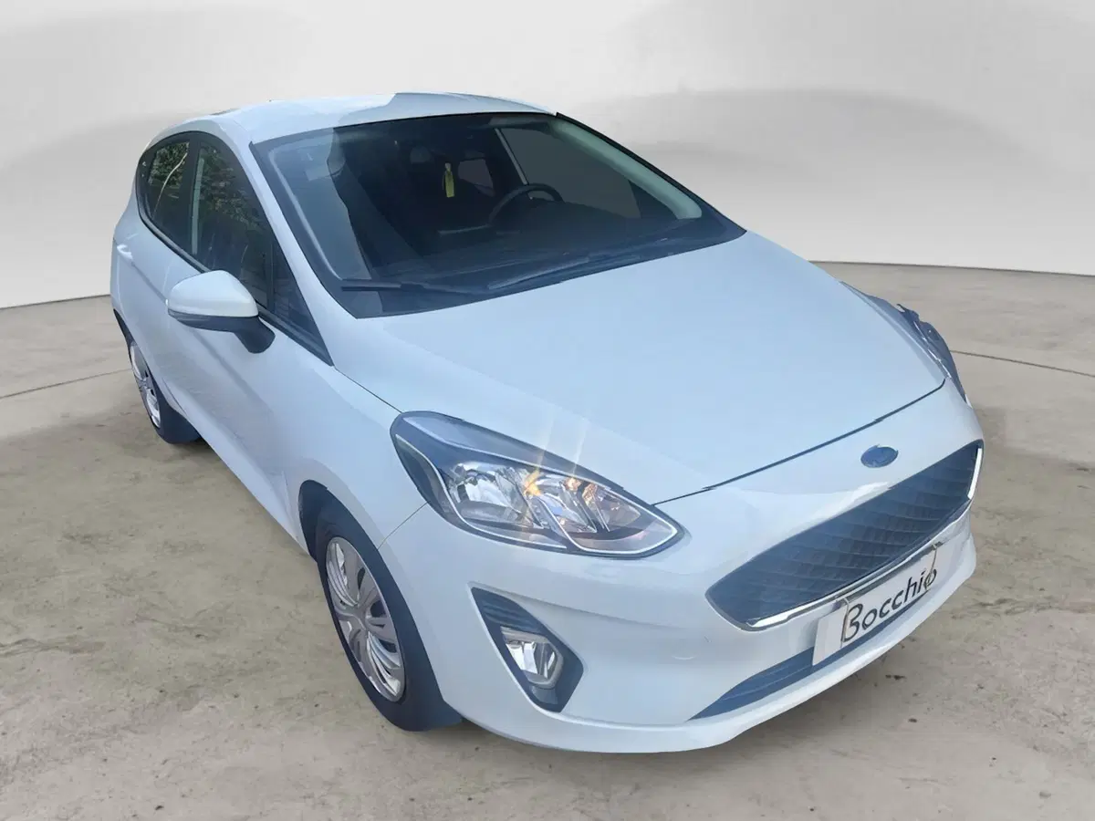 Ford Fiesta usata a Brescia