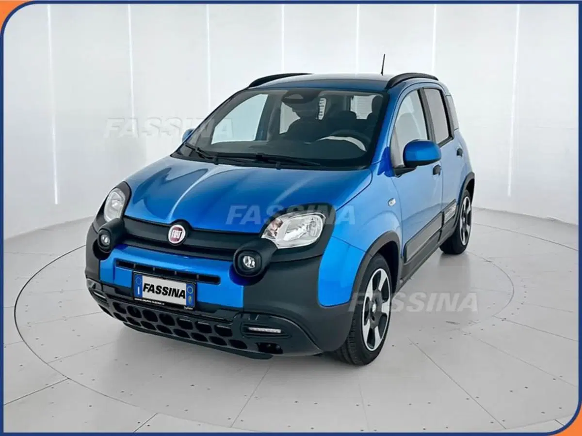 Fiat Pandina usata a Milano (3)