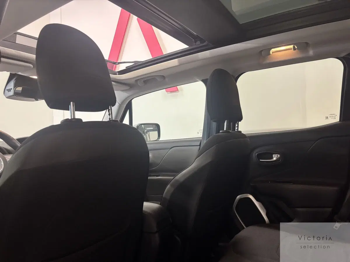 Jeep Renegade usata a Brescia (17)