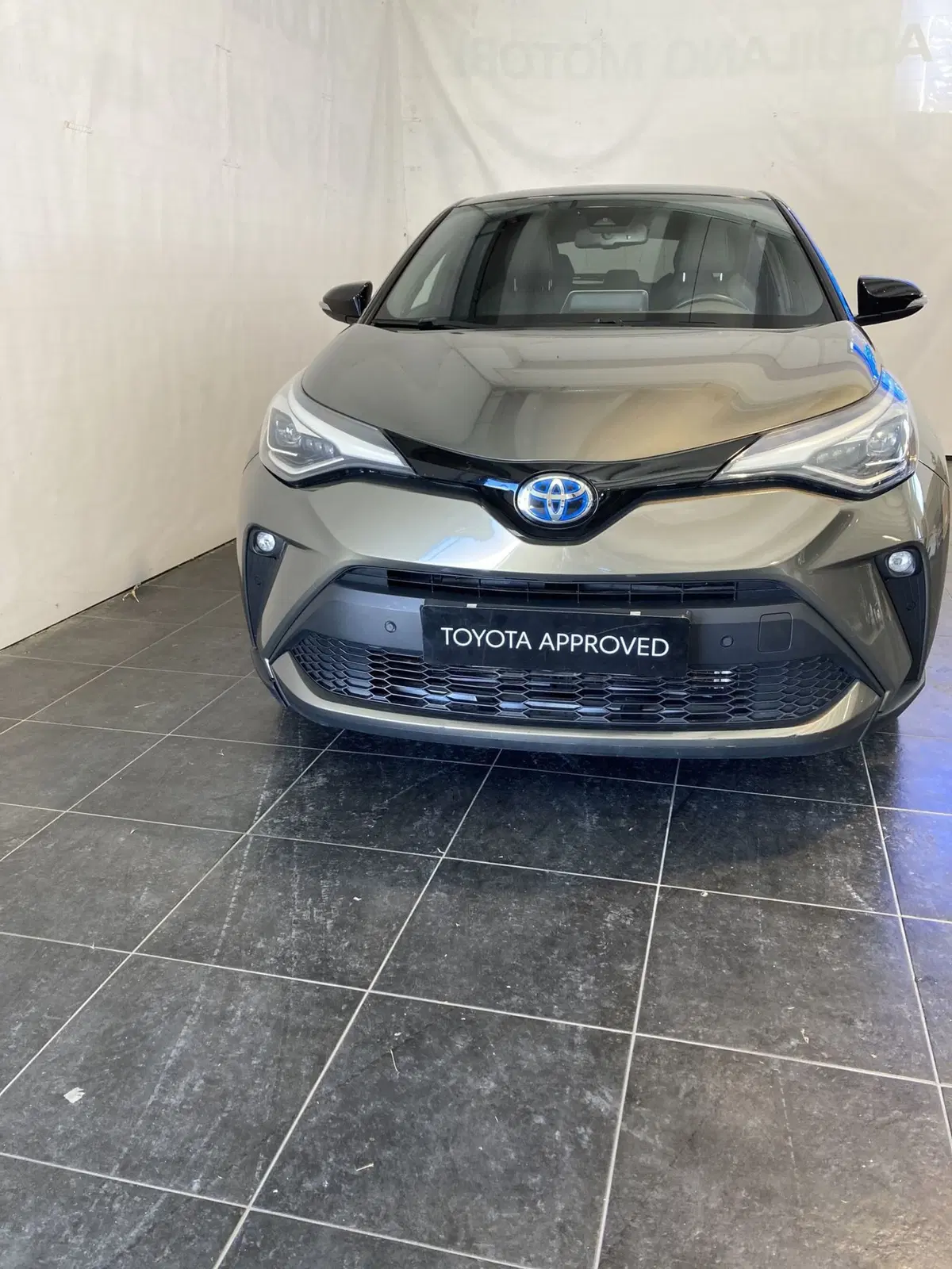 Toyota Toyota C-HR usata a Foggia (3)