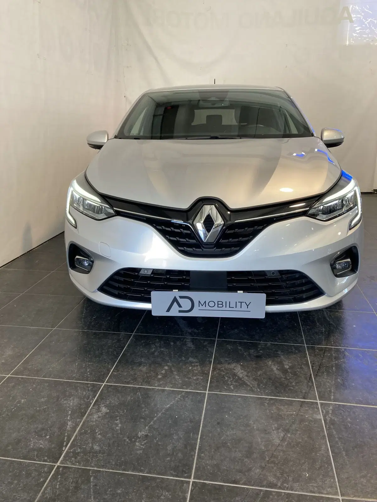 Renault Clio usata a Foggia (2)