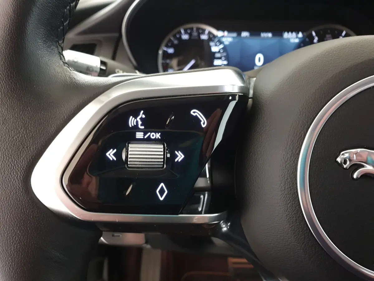 Jaguar E-Pace usata a Monza e Brianza (17)