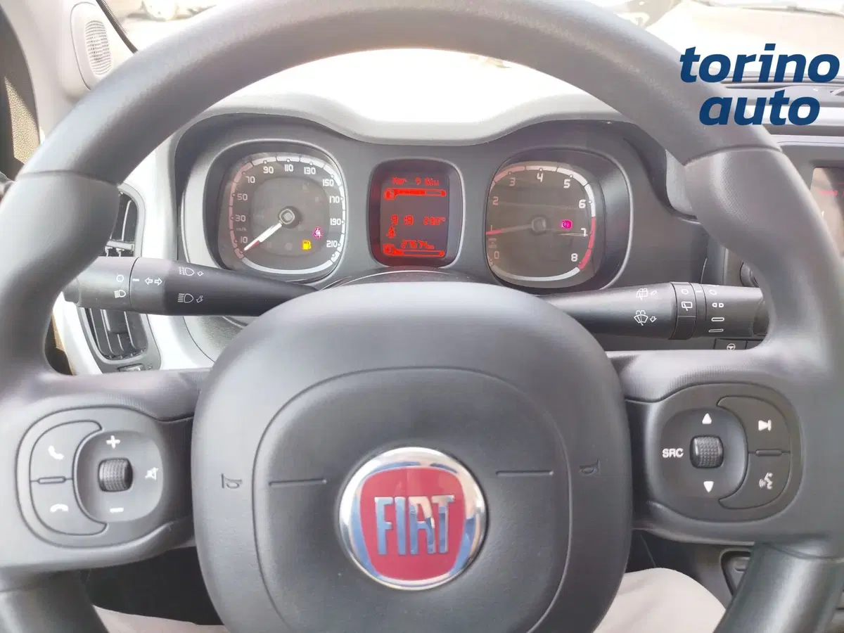 Fiat Panda Cross usata a Cuneo (15)