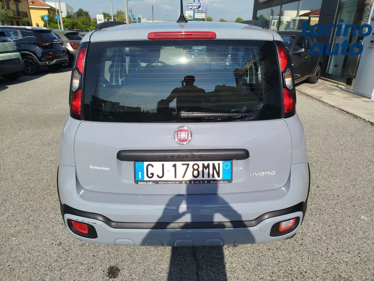 Fiat Panda Cross usata a Cuneo (6)