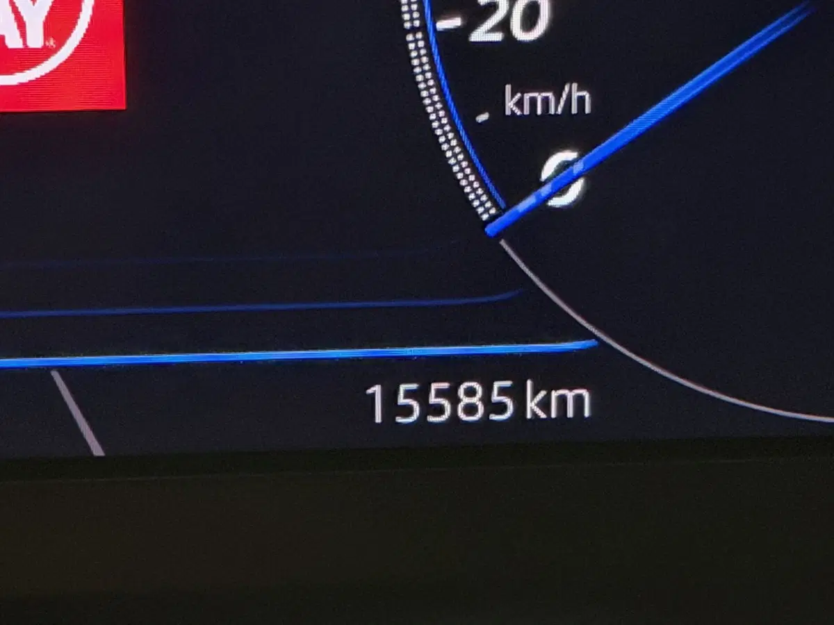 Volkswagen T-Roc usata a Genova (13)