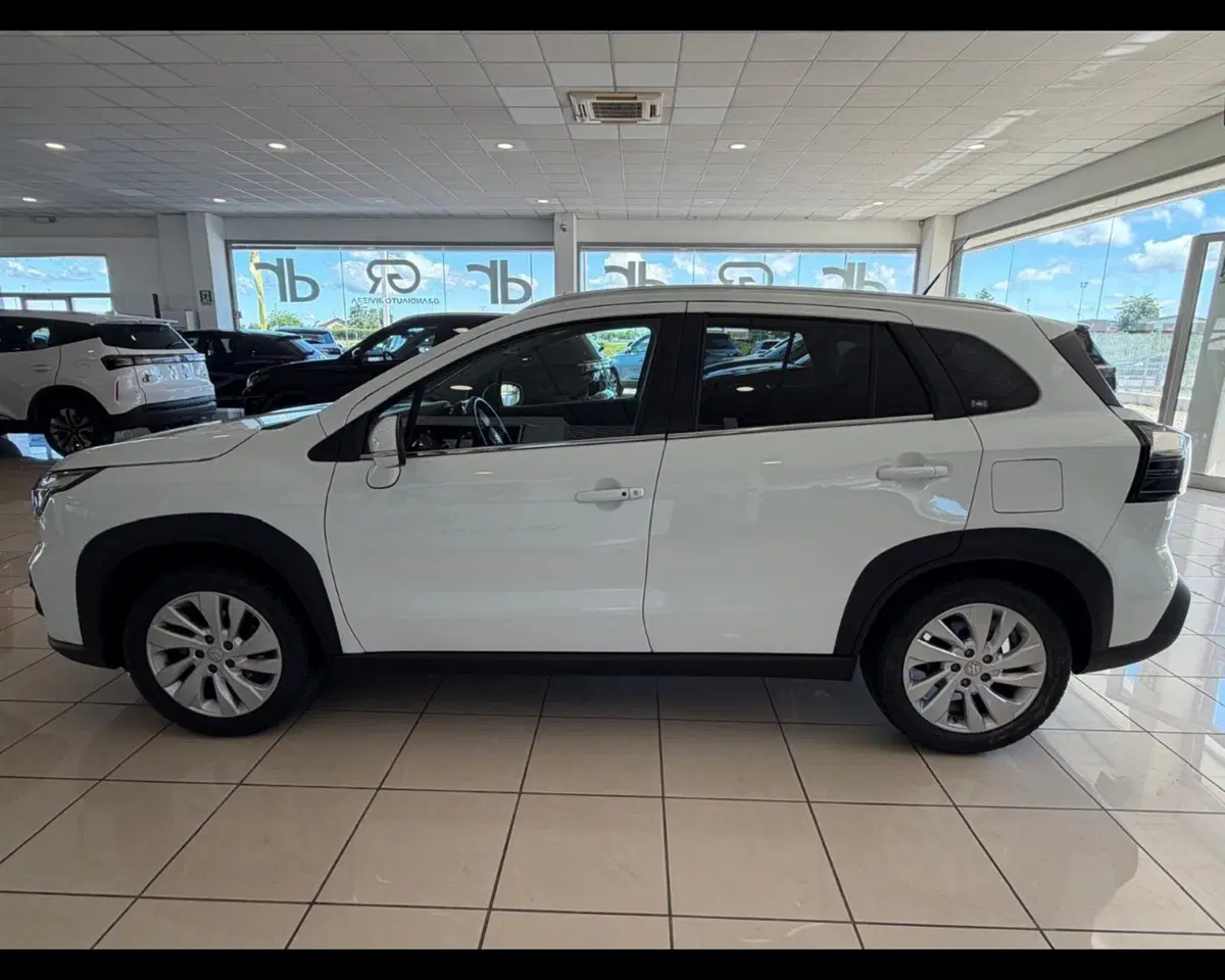 Suzuki S-Cross usata a Alessandria (2)
