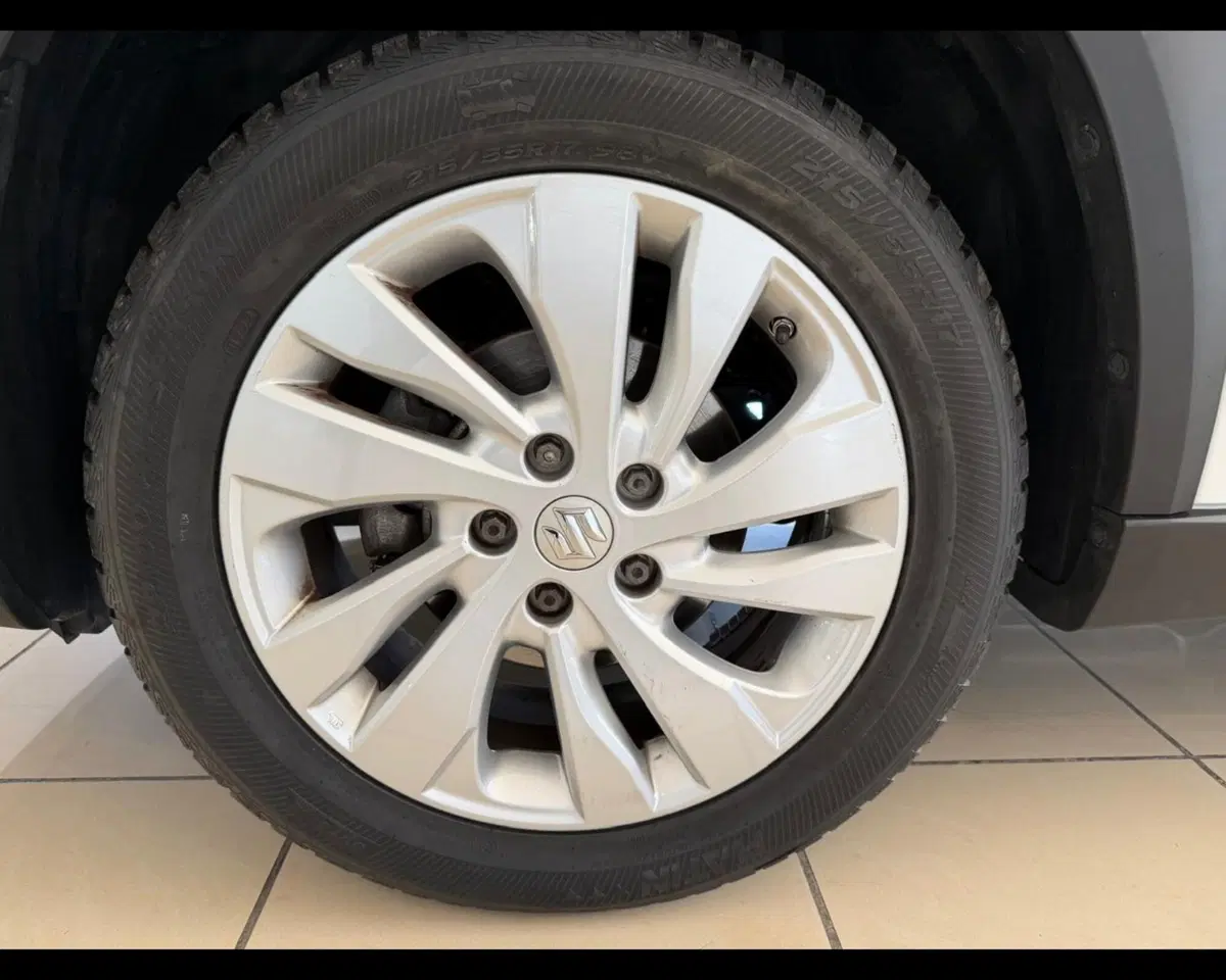Suzuki S-Cross usata a Alessandria (20)