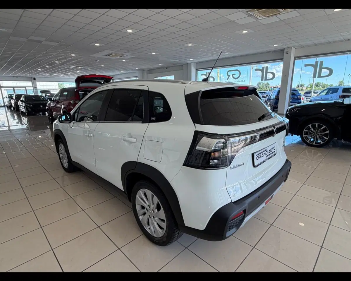 Suzuki S-Cross usata a Alessandria (3)