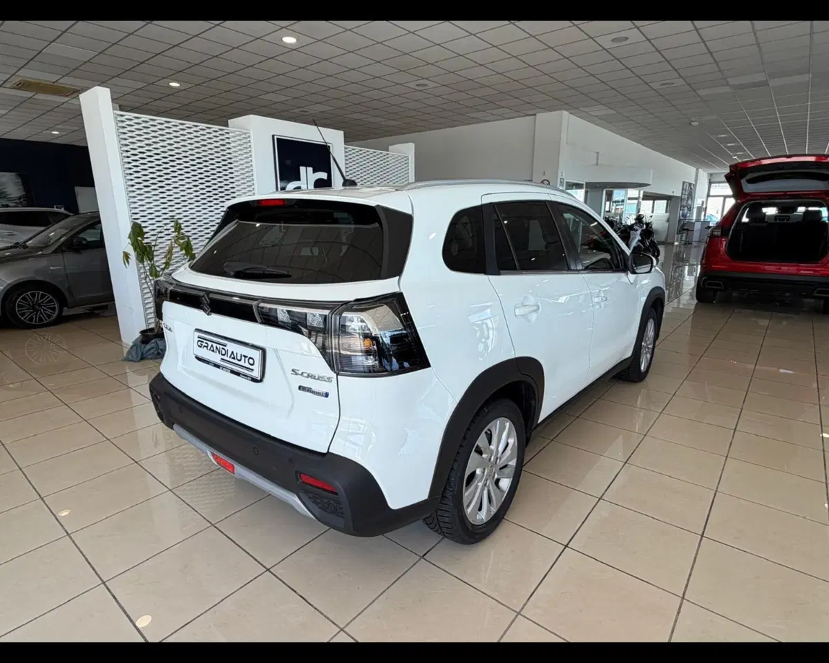 Suzuki S-Cross usata a Alessandria (5)