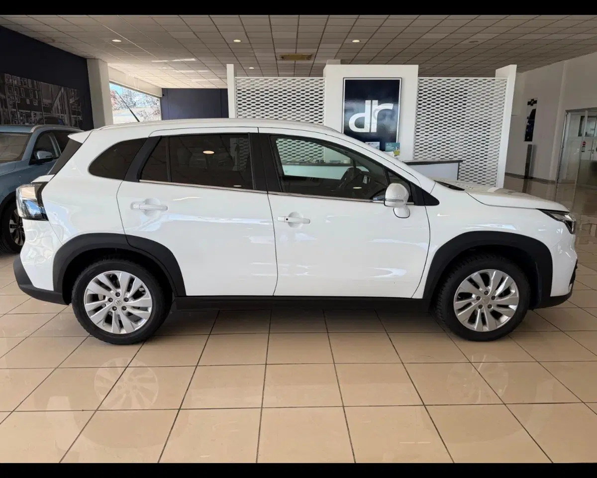 Suzuki S-Cross usata a Alessandria (6)