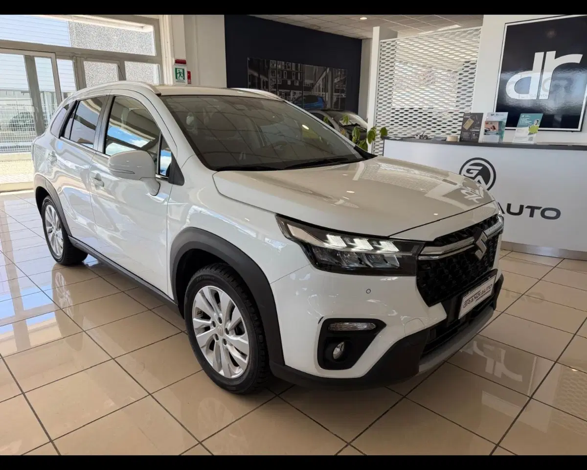 Suzuki S-Cross usata a Alessandria (7)