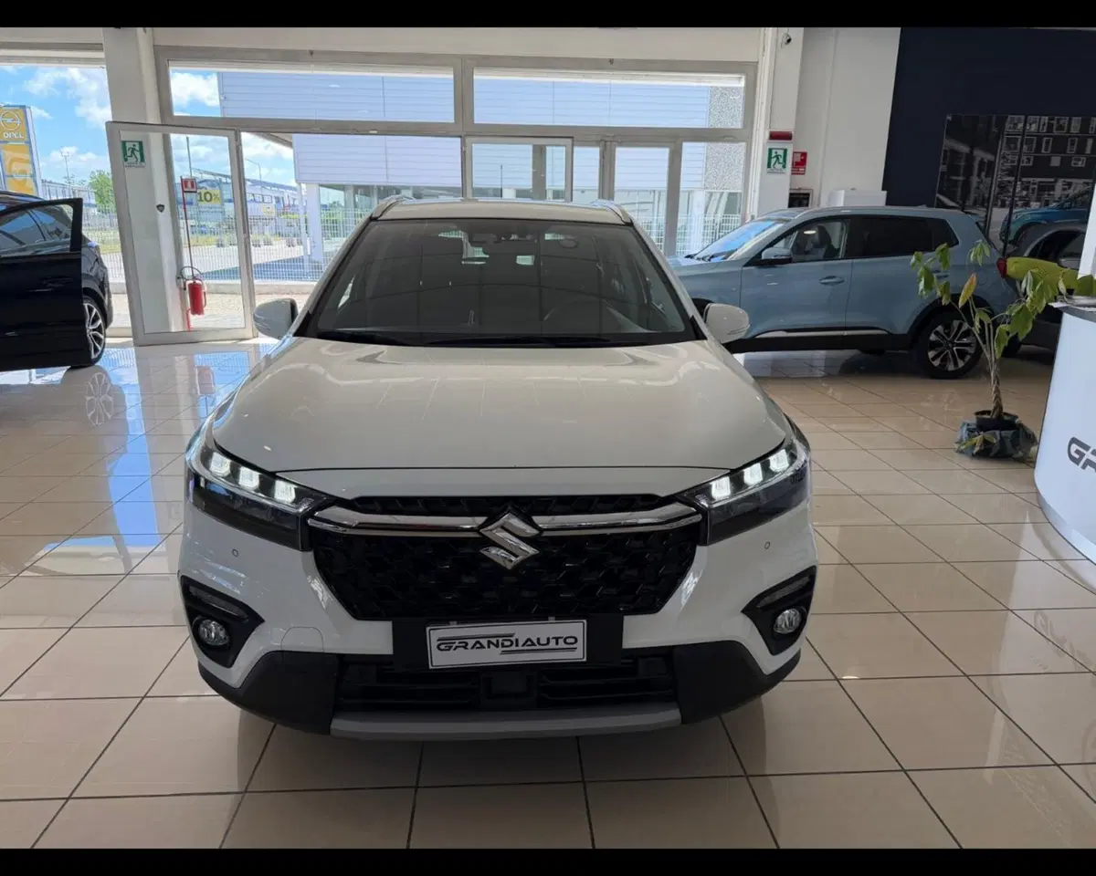 Suzuki S-Cross usata a Alessandria (8)