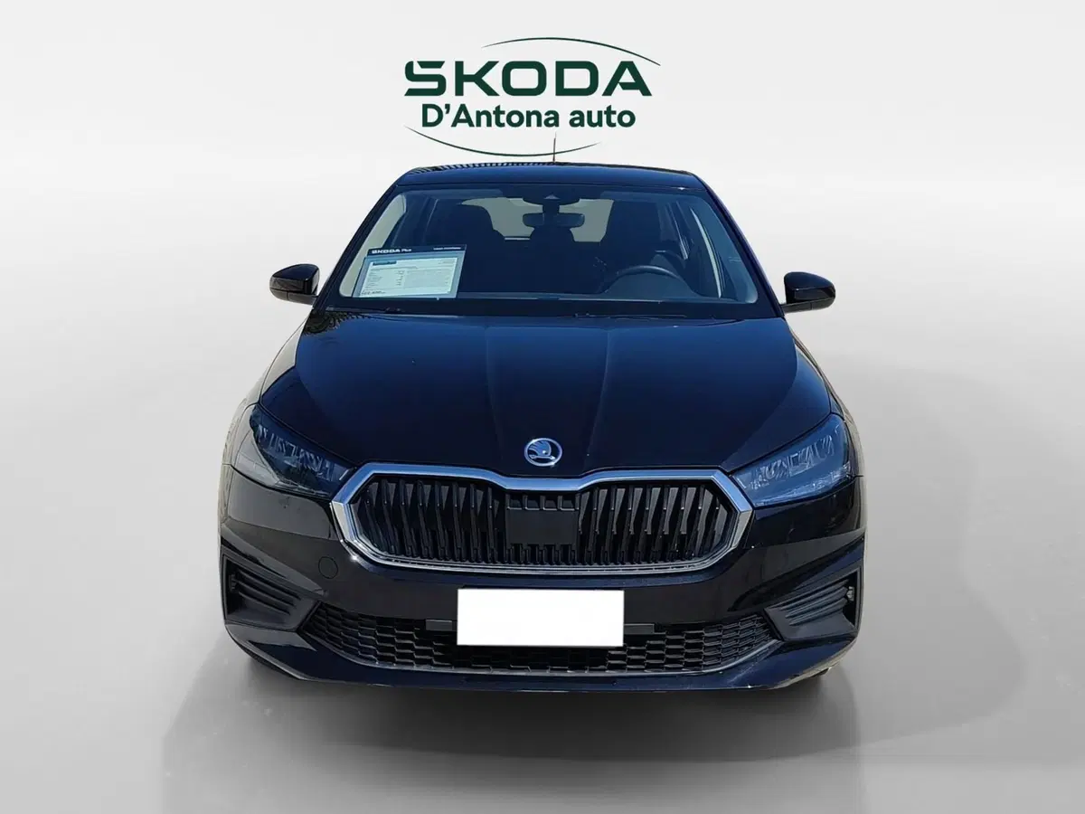 Skoda Fabia usata a Taranto (2)