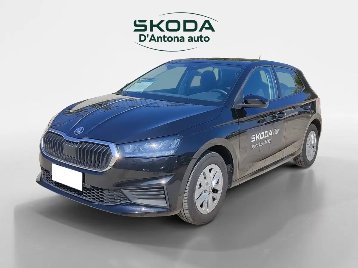 Skoda Fabia usata a Taranto (5)