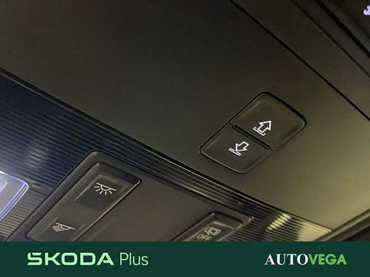 Skoda Kamiq usata a Vicenza (15)