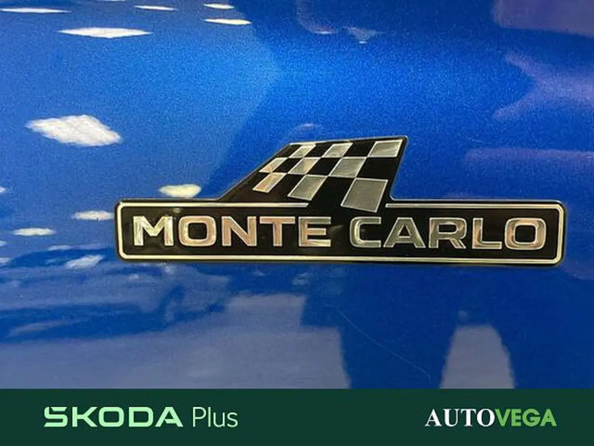 Skoda Kamiq usata a Vicenza (18)