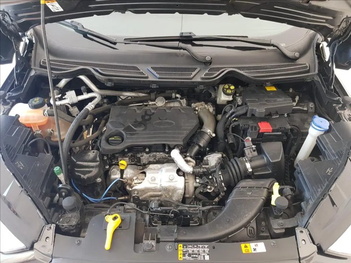 Ford EcoSport usata a Lucca (17)
