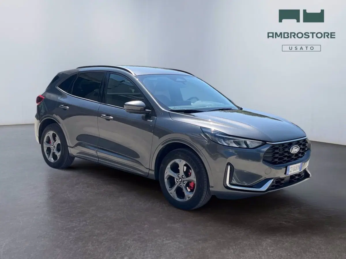 Ford Kuga usata a Milano (7)
