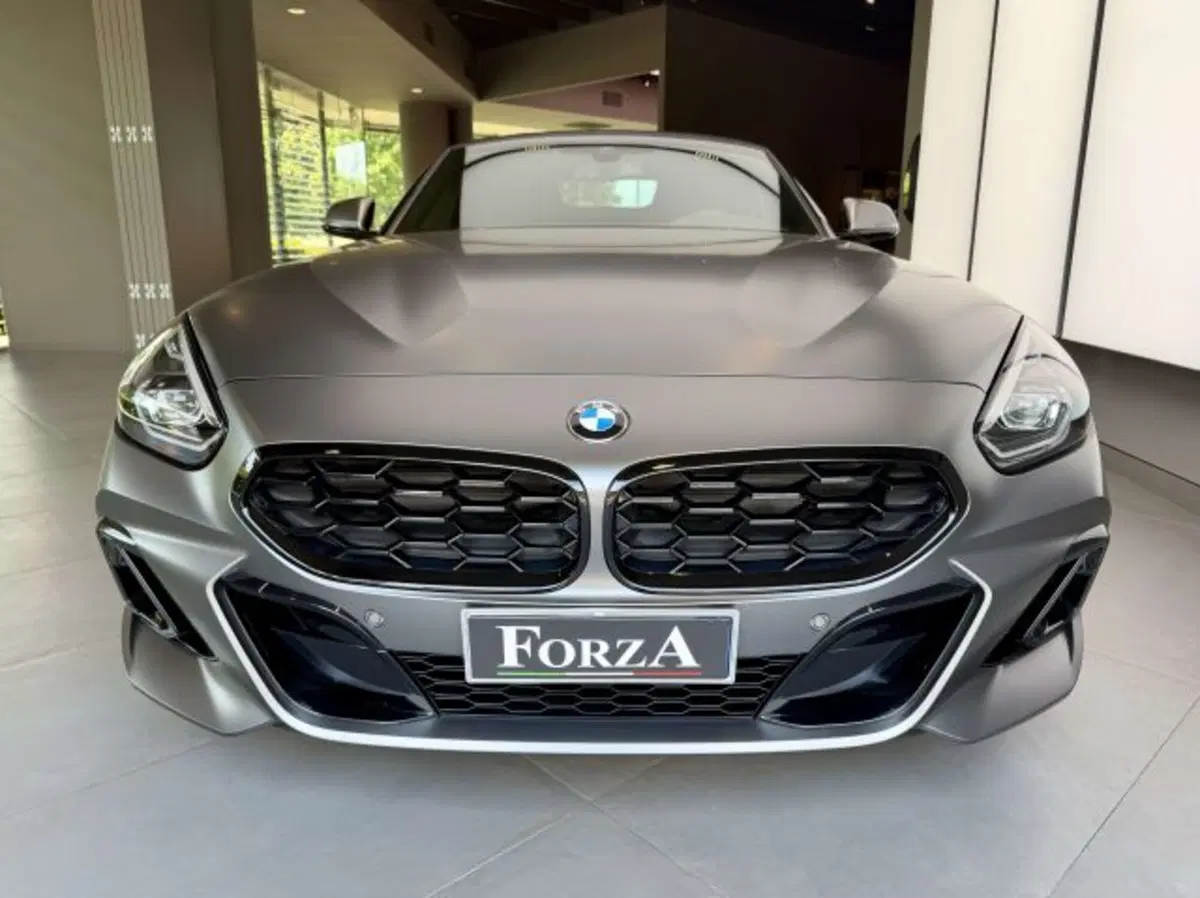 BMW Z4 Cabrio usata a Torino (2)