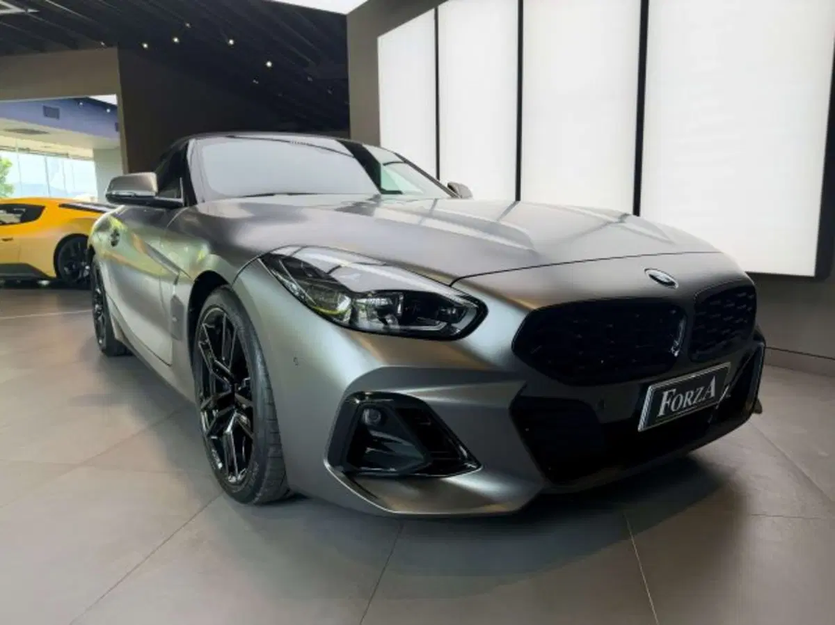 BMW Z4 Cabrio usata a Torino (3)