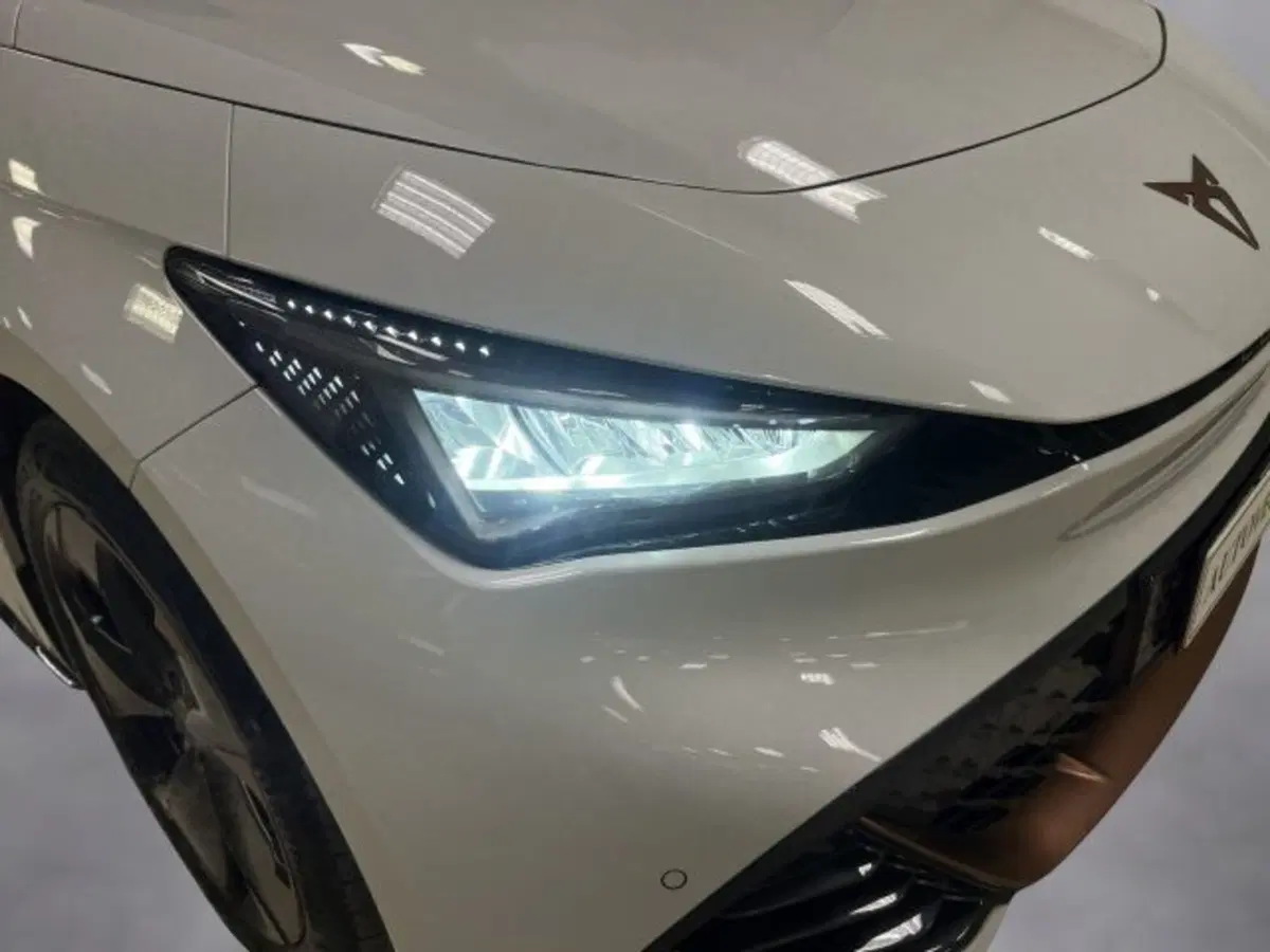 Cupra Born usata a Vicenza (19)