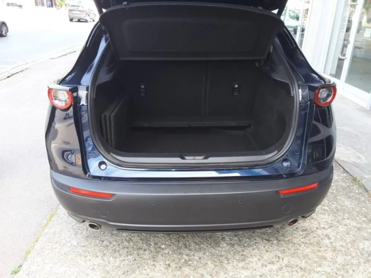 Mazda CX-30 usata a Firenze (15)