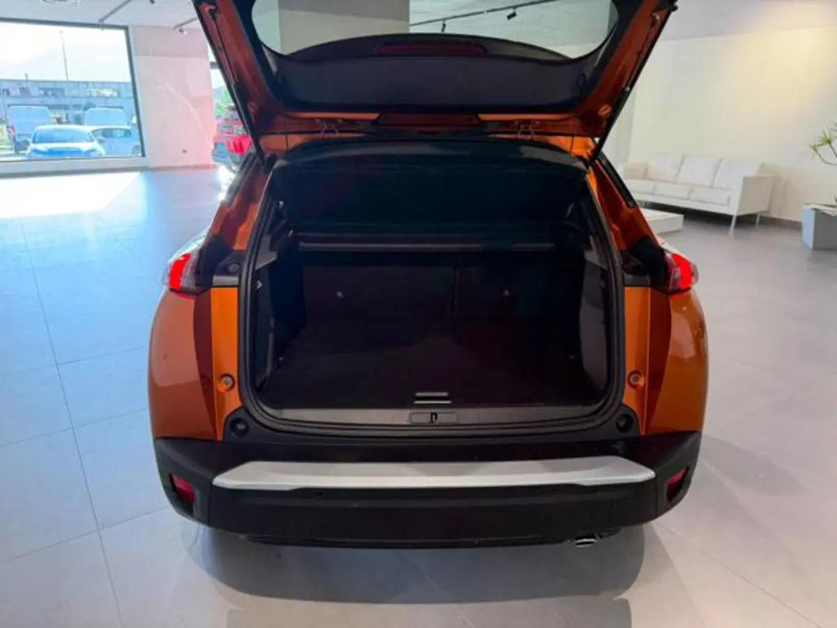 Peugeot 2008 usata a Salerno (20)