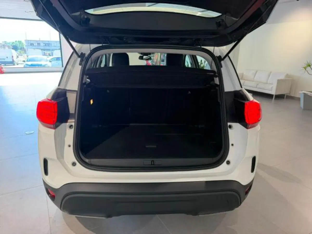 Citroen C5 Aircross usata a Salerno (20)