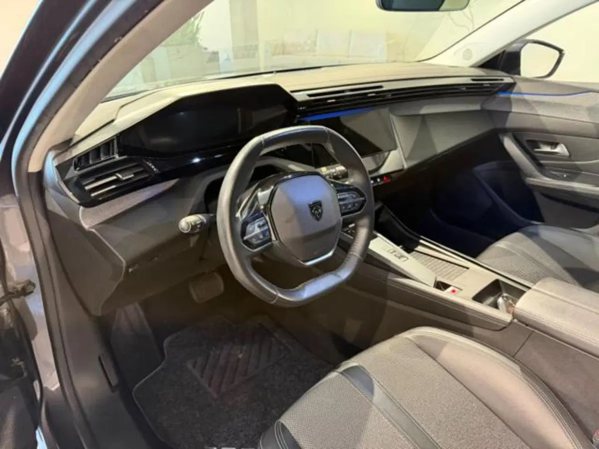 Peugeot 308 SW usata a Salerno (10)