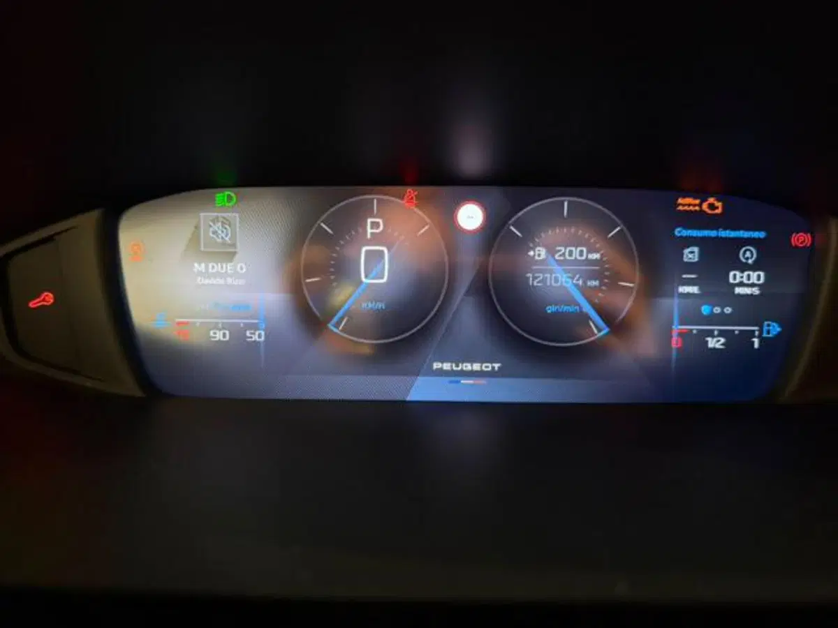 Peugeot 308 SW usata a Salerno (15)