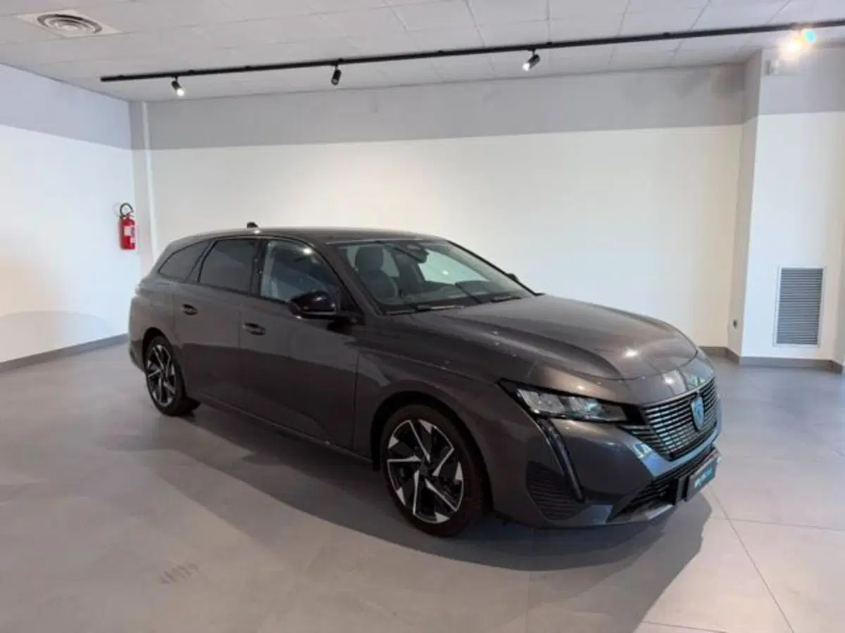 Peugeot 308 SW usata a Salerno (2)