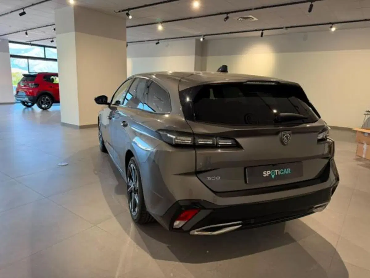 Peugeot 308 SW usata a Salerno (6)