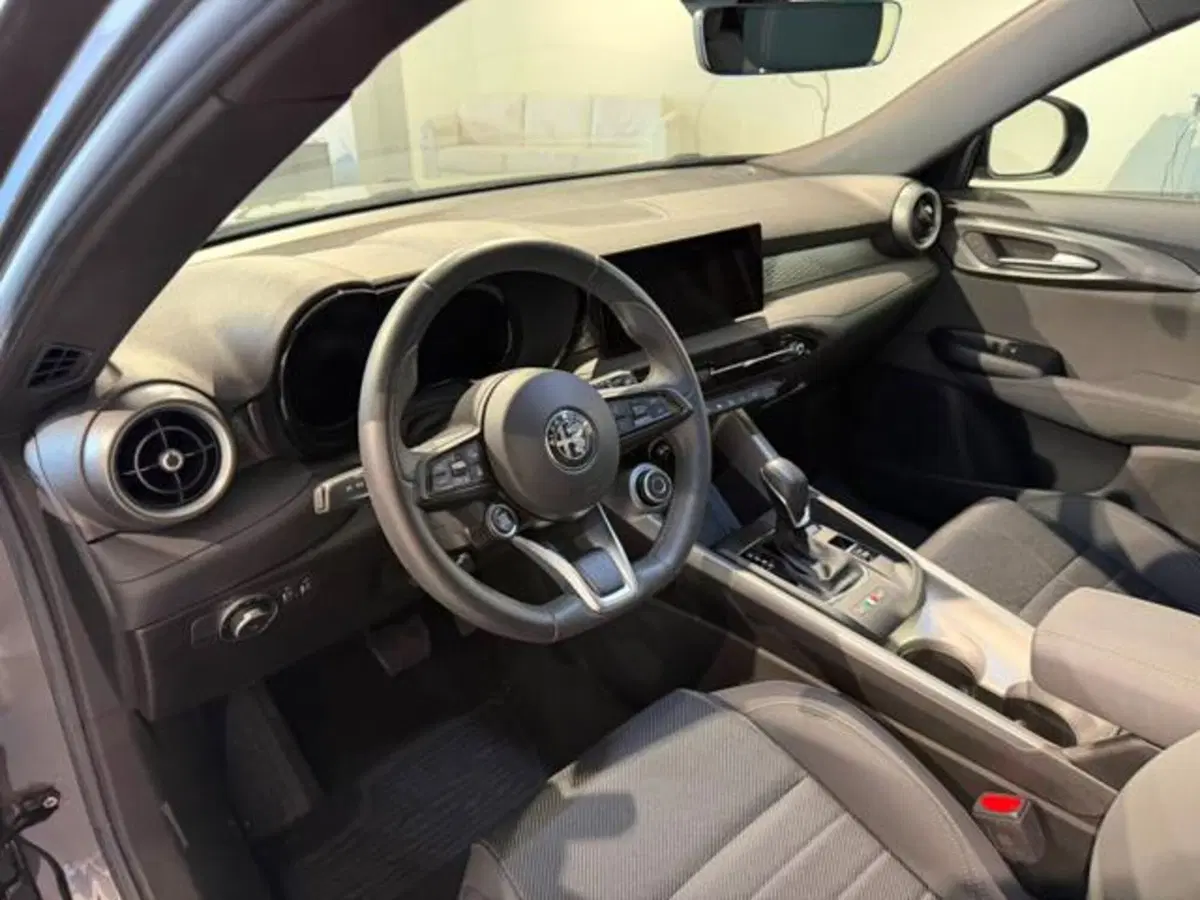 Alfa Romeo Tonale usata a Salerno (10)