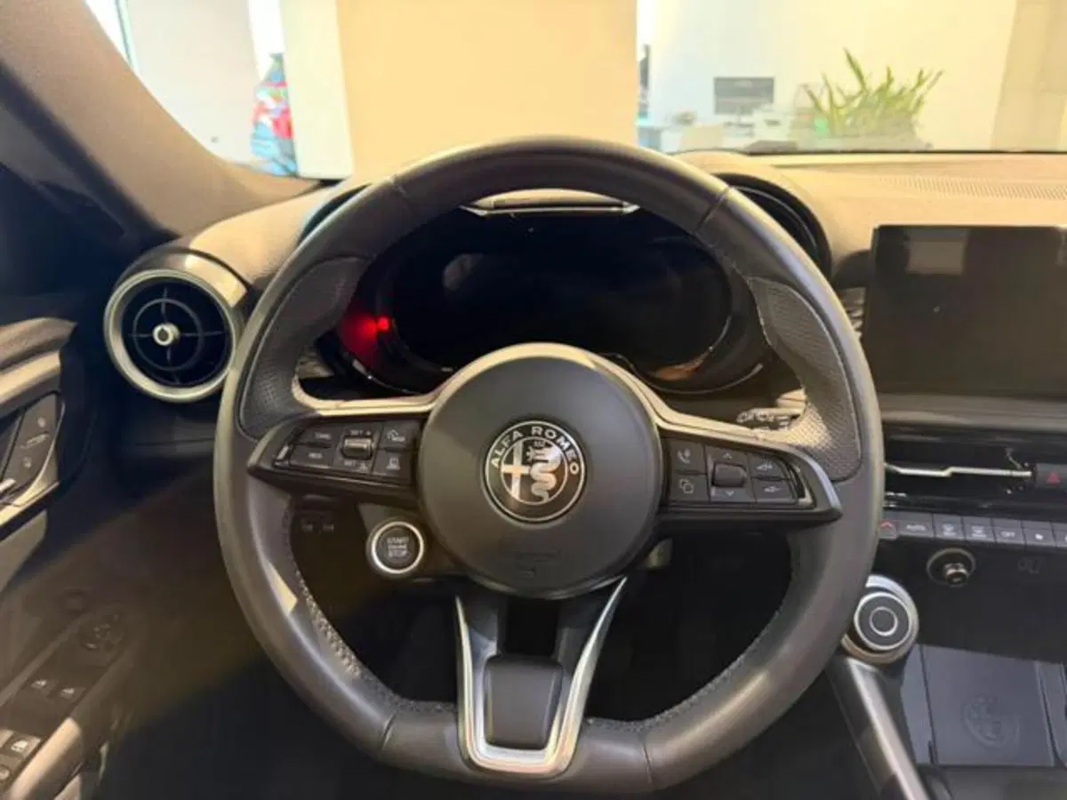 Alfa Romeo Tonale usata a Salerno (14)
